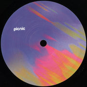 Various - PICNIC 007 (Picnic Records) (M)
