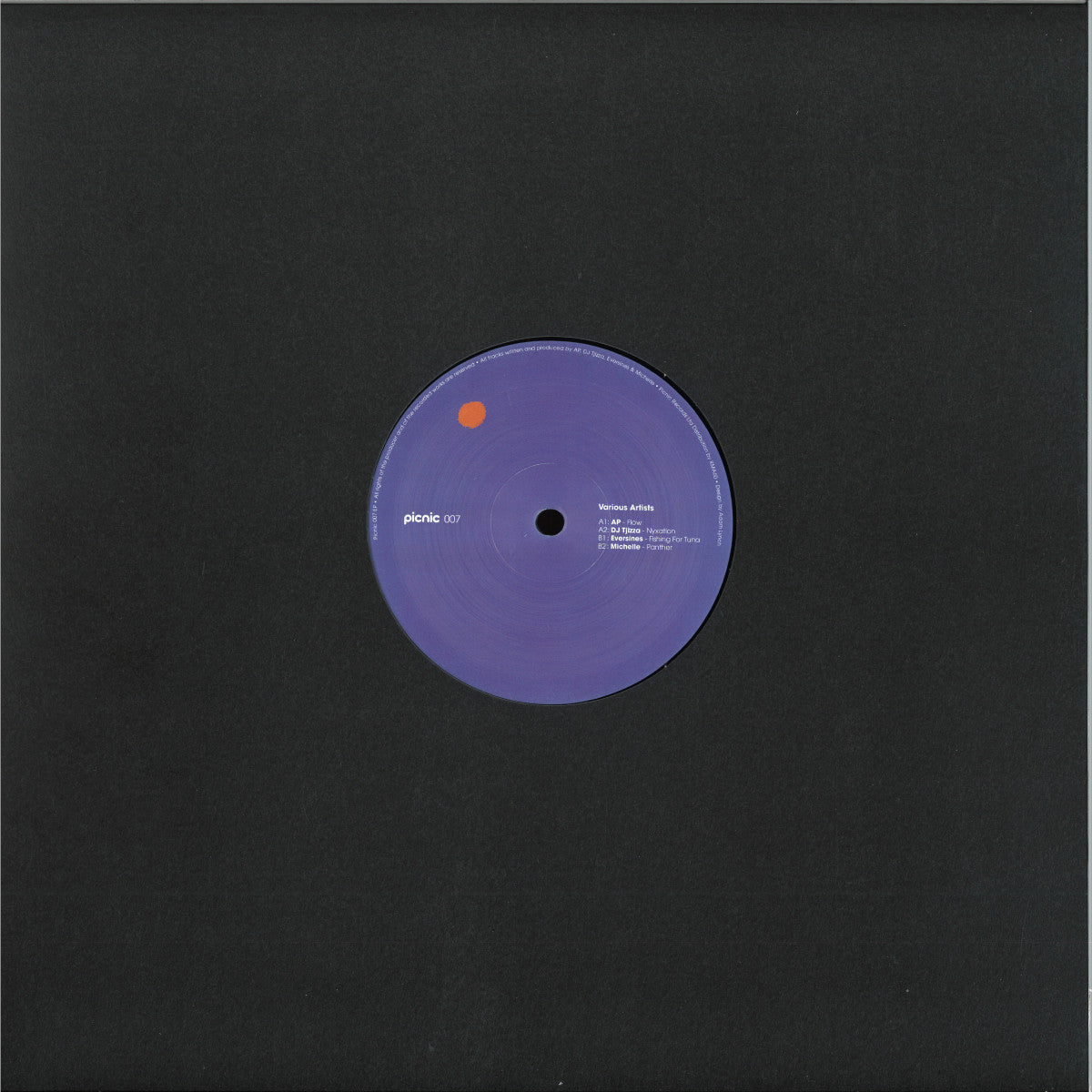 Various - PICNIC 007 (Picnic Records) (M)
