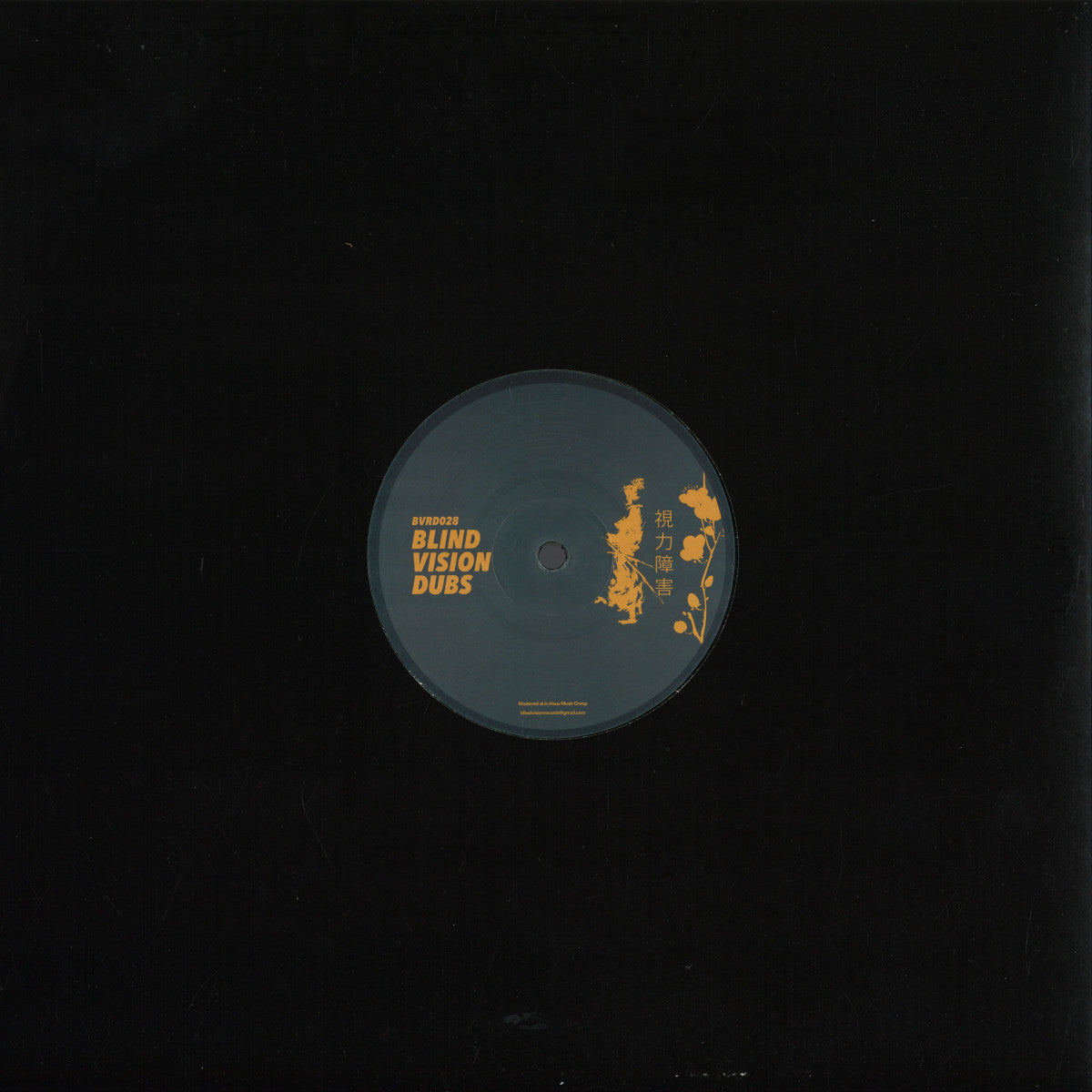Daniel Ortiz  - BVRD028 (Blind vision dubs) (M)