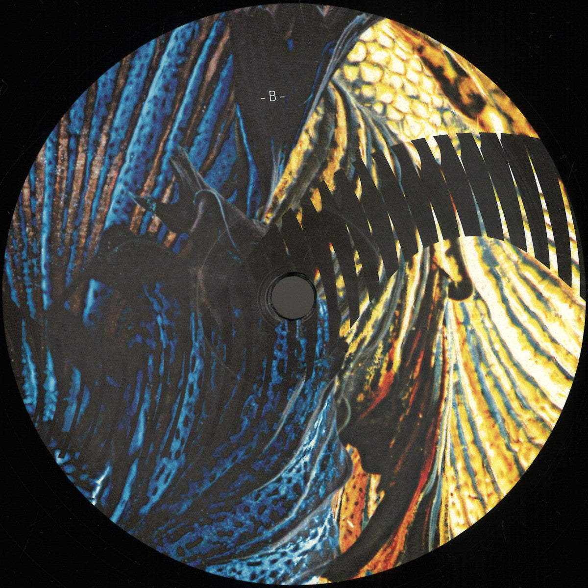 Duc In Altum - Midnight Sun (Rhizome (US)) (M)