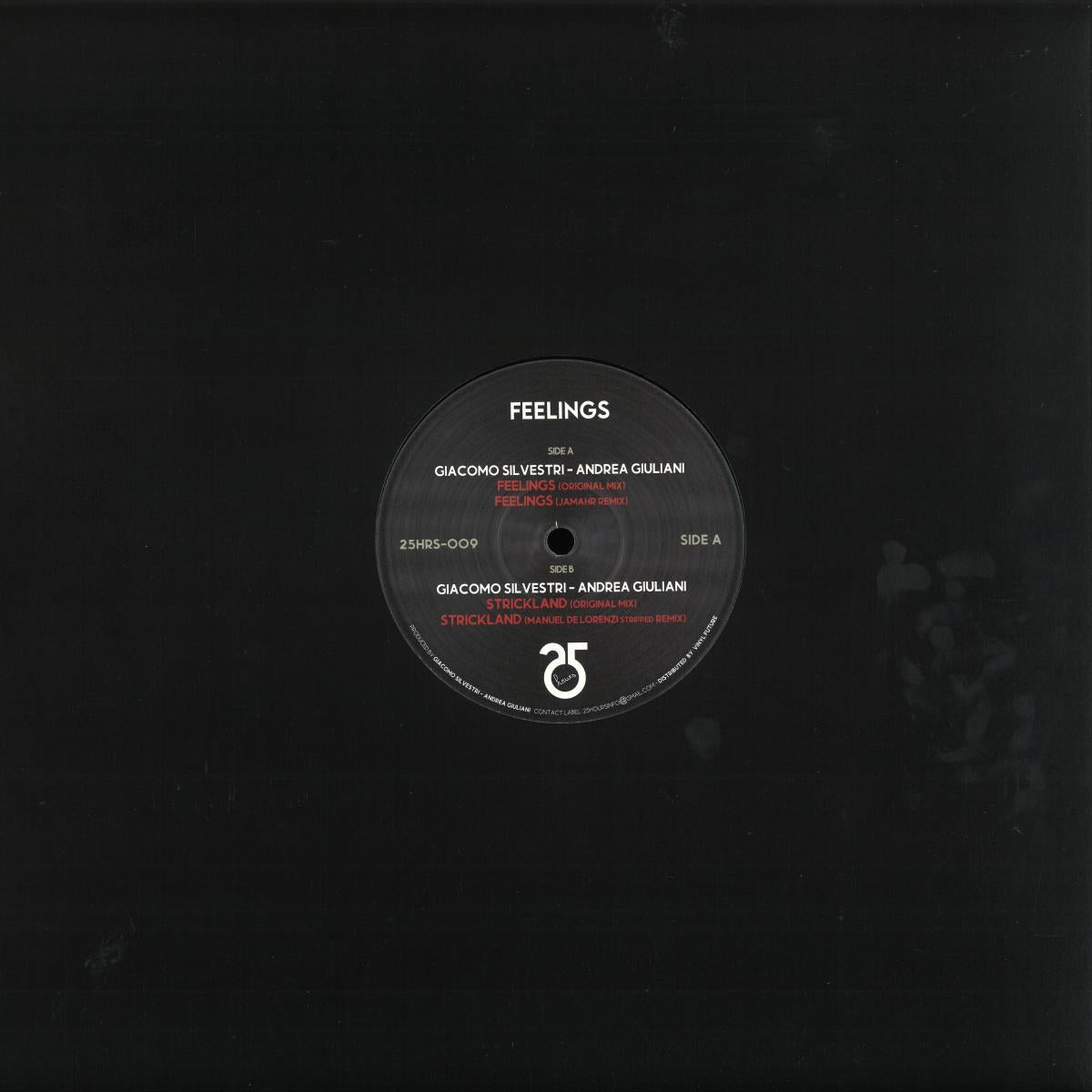 Giacomo Silvestri, Andrea Giuliani - Feelings (25hours Records) (M)