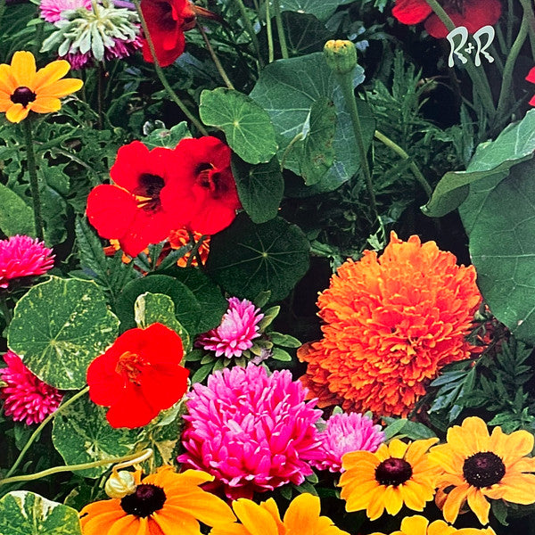 Huerta* : TV Slang (LP, Album)