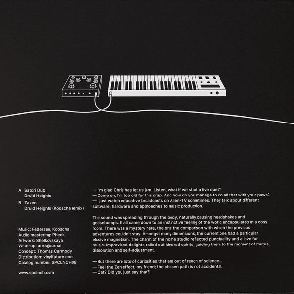 Federsen : Zen Effects (12", EP, Ltd)