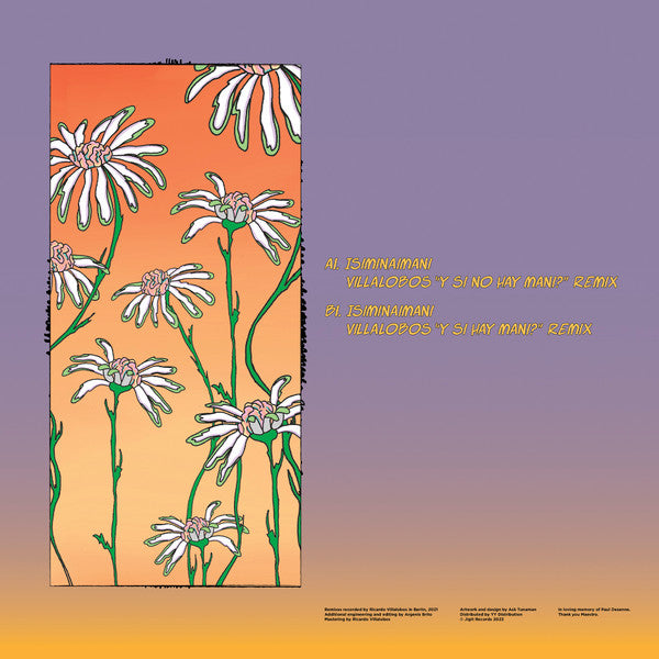 Alonso Toro & Paul Desenne & Pedro Vasquez : Isiminaimanín Ricardo Villalobos Remixes (12", Rem)