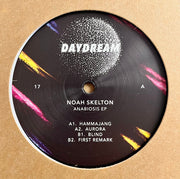 Noah Skelton : Anabiosis EP (12", EP)
