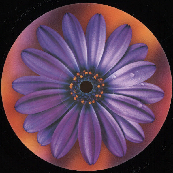 Clarence Wu : Here (12", EP)