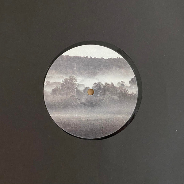 Tys (5) : Prism (12", Ltd, 180)