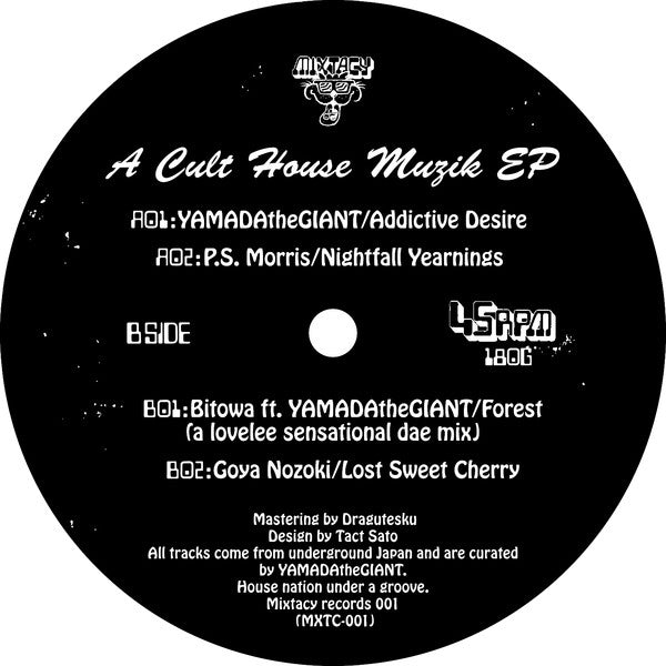 Various : A Cult House Muzik EP (12")