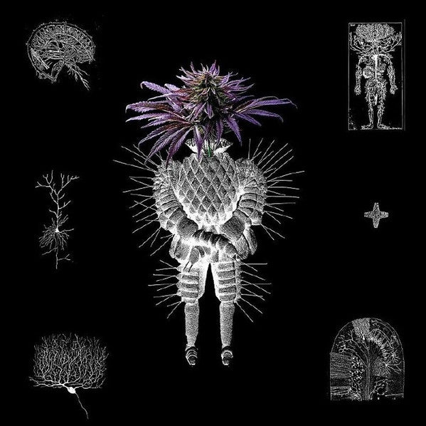 Altarf & Denev : 123.ro-VA04 (12")