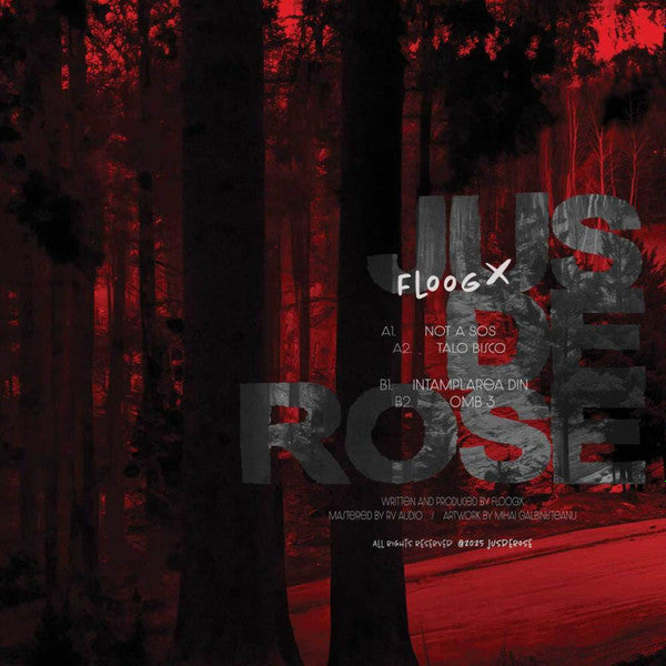 Floog : Not A SOS (12")