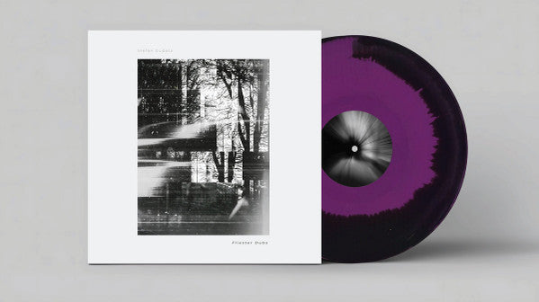 Stefan Gubatz : Fliester Dubs (12", EP, Pur)
