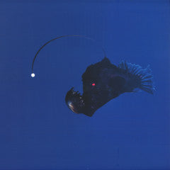 Michael Melchner : No Light Below (12", EP)