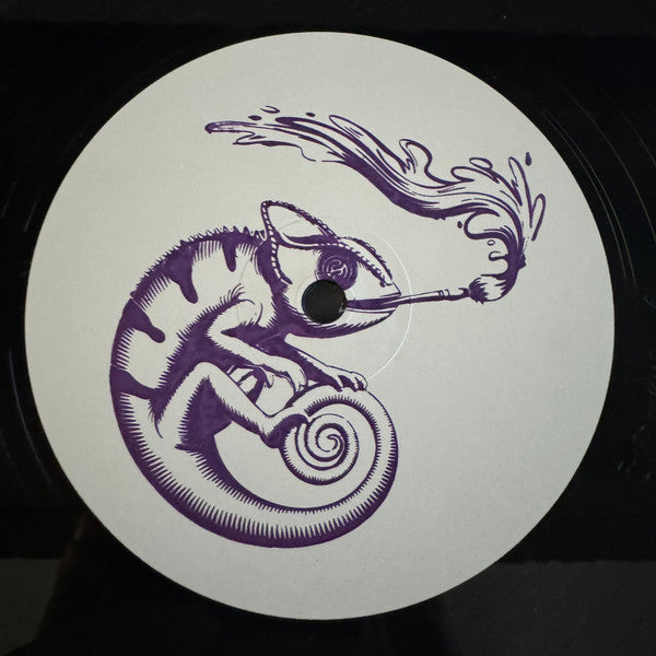 The Unknown Artist : Sun After Rain (12", W/Lbl)