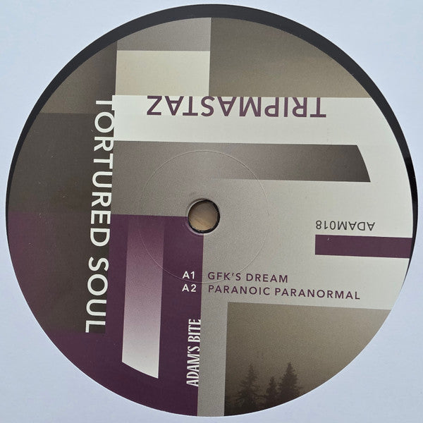 Tripmastaz : Tortured Soul (12")