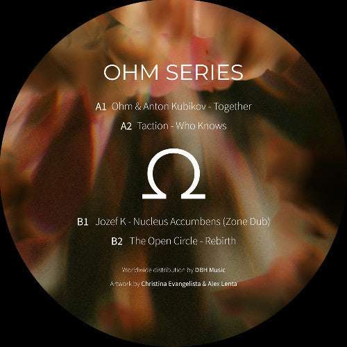 Various : Ohm Series 16 (12")