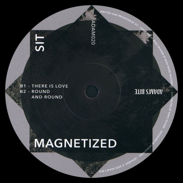 Sideways Invisibility Theory : Magnetized (12")