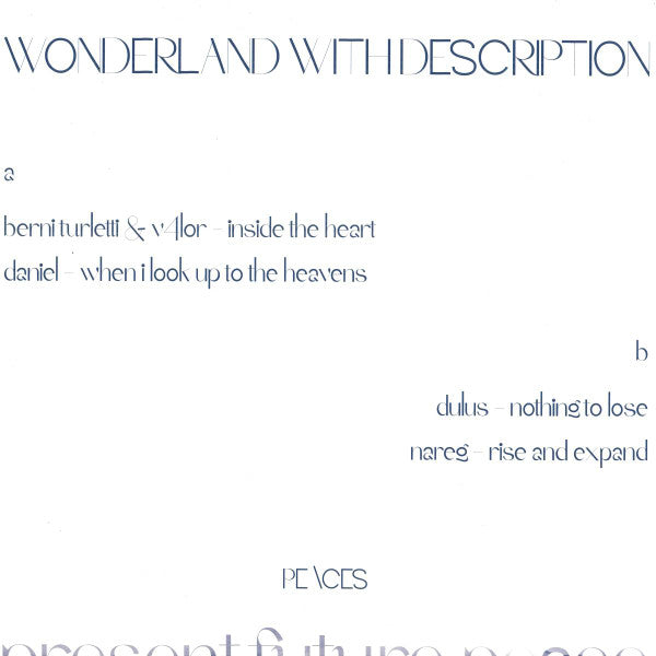 Various : Wonderland With Description (12", Whi)
