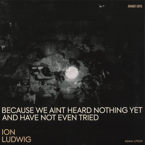 Ion Ludwig : Because We Aint Heard Nothing Yet And Have Not Even Tried (3x12", Album)