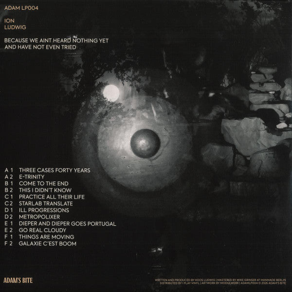 Ion Ludwig : Because We Aint Heard Nothing Yet And Have Not Even Tried (3x12", Album)