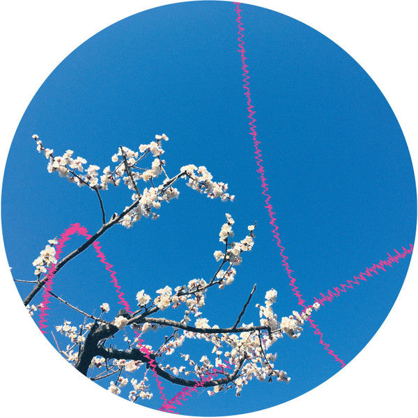 Extra : Flowerchild (12", EP)