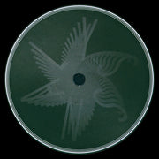 Adam Strömstedt / Flord King : GDEP (12", EP, Single)