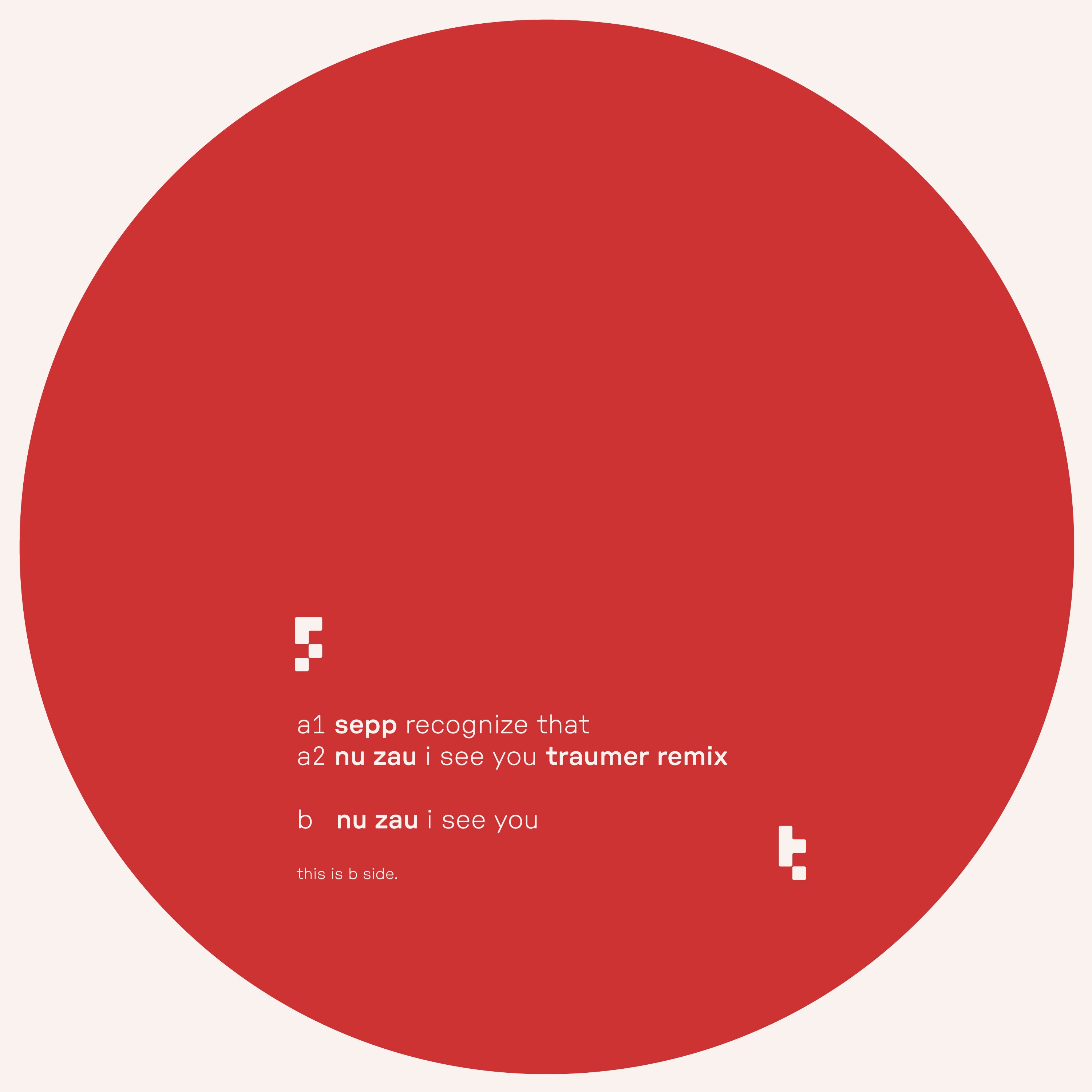 Nu Zau, Sepp  - brotherescu EP (GETTRAUM) (M)