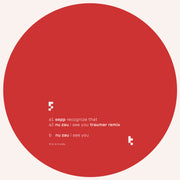 Nu Zau, Sepp  - brotherescu EP (GETTRAUM) (M)