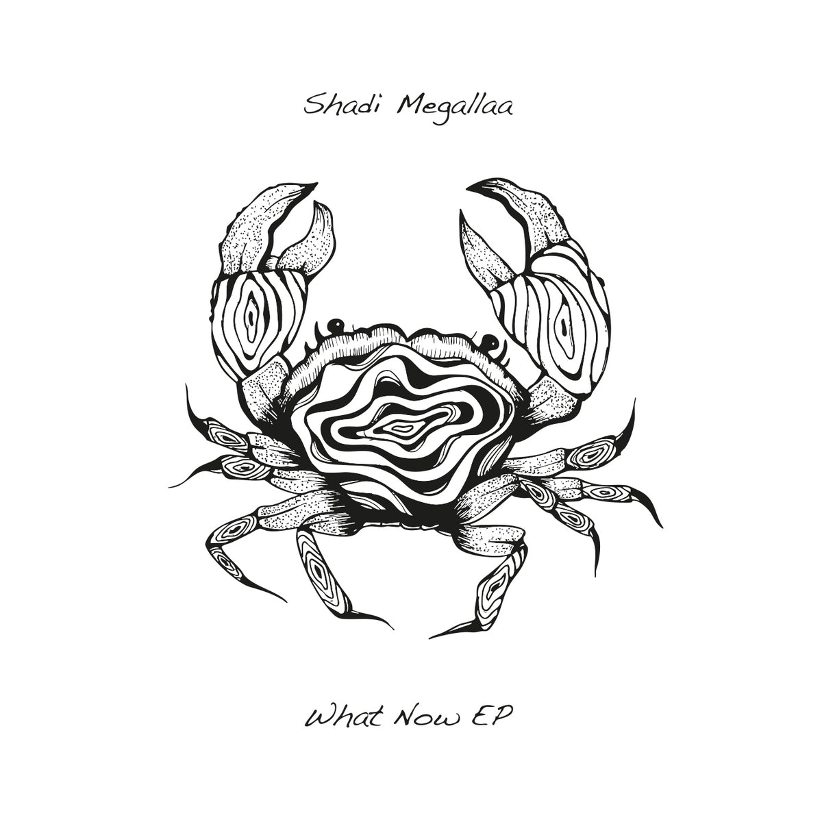 Shadi Megallaa - What Now Ep (Seaweed Rythm) (M)