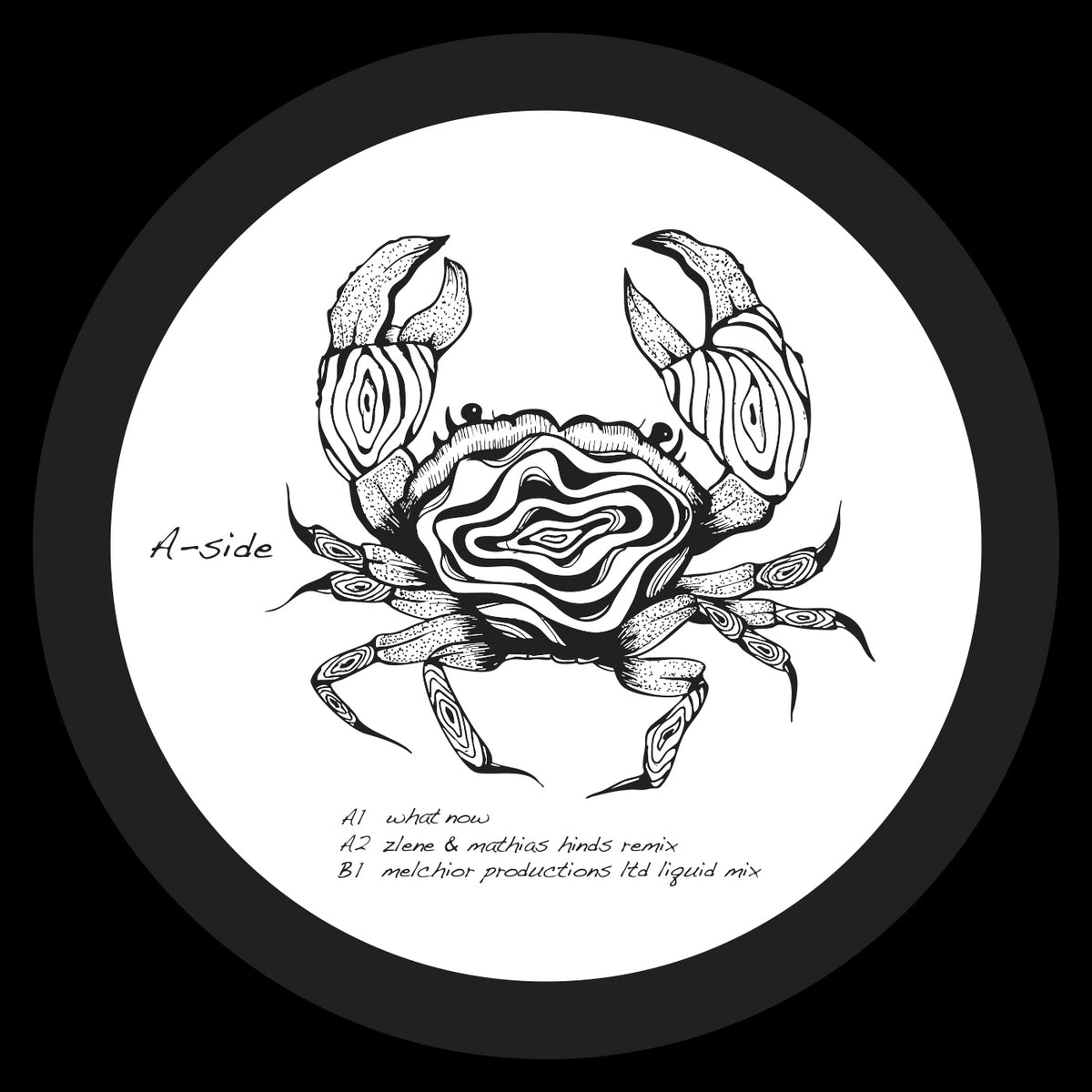 Shadi Megallaa - What Now Ep (Seaweed Rythm) (M)