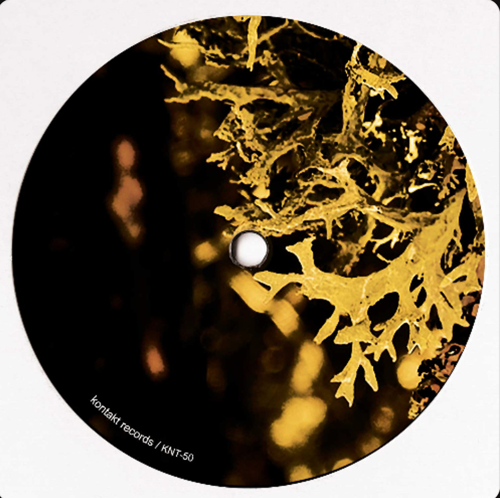 Reimut Van Bonn - Detached Trails (Colored Vinyl) (Kontakt Records) (M)