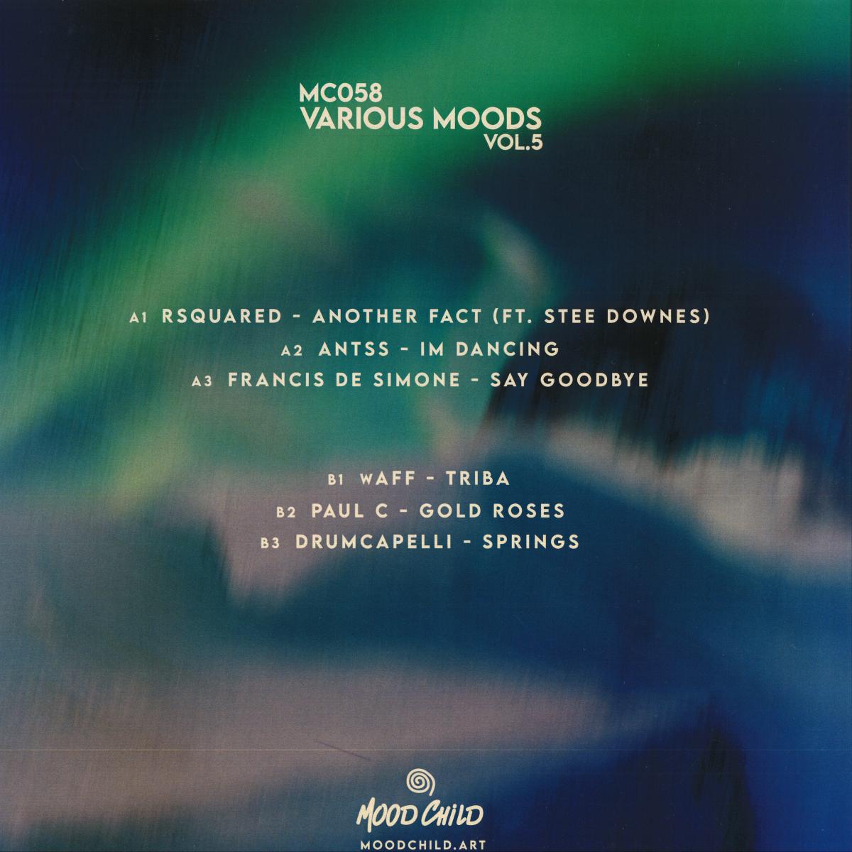 Various - Various Moods Vol. 5 (Mood Child) (M)