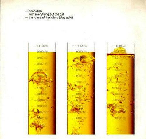 Deep Dish With Everything But The Girl : The Future Of The Future (Stay Gold) (12")