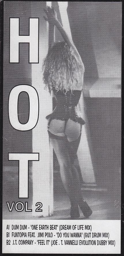 Various : Hot Vol 2 (12", Unofficial, W/Lbl)