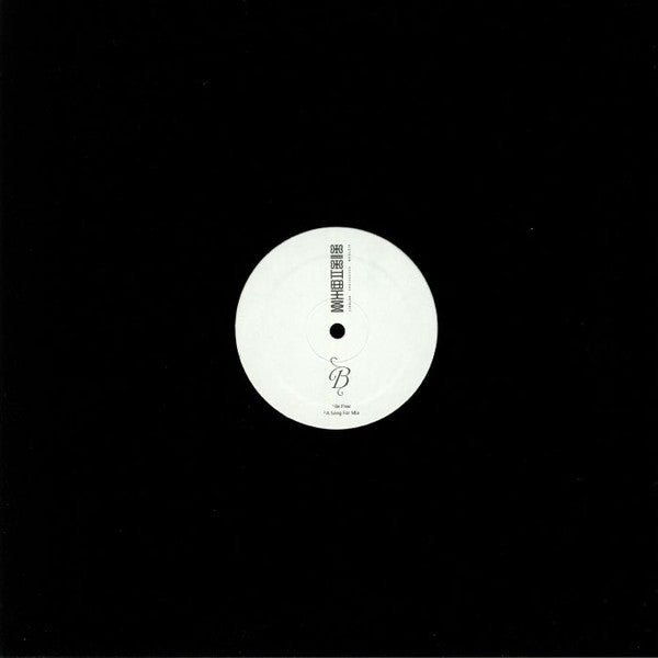 Patrice Scott : Moments & Concepts (12")