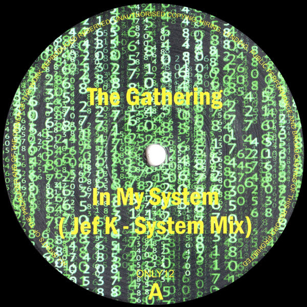 The Gathering (5) : In My System (Jef K - System Mix) (12", S/Sided)