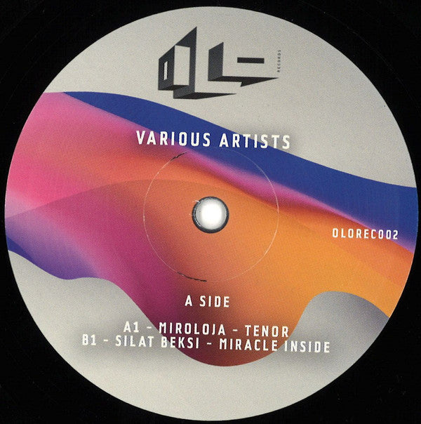 Various : Various Artists (12")