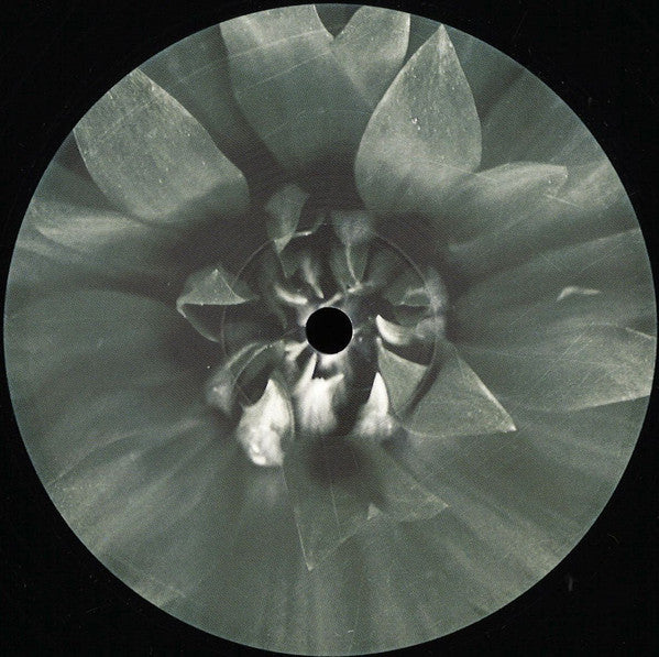 Various : Blueten 006 (12")