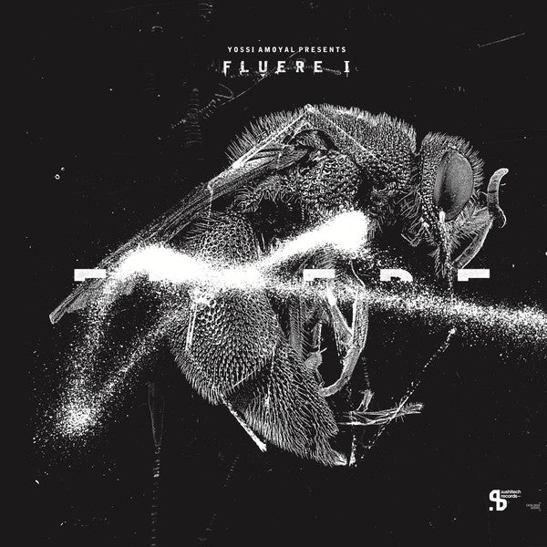Various : Yossi Amoyal Presents Fluere I (12")
