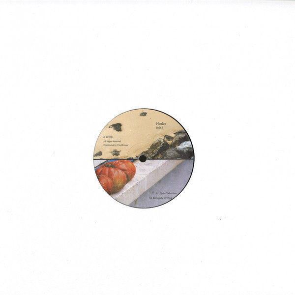 Paul Rudder / Hurlee : RDDR002 (12")