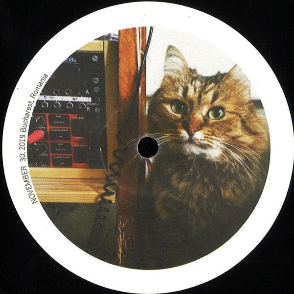 Average Joe (8) : Cool Cat EP (12", EP)