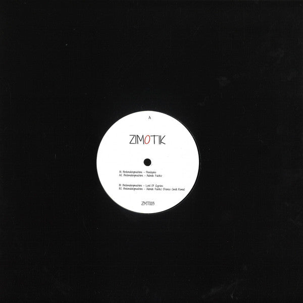 Birdsmakingmachine : ZMT003 (12", EP)