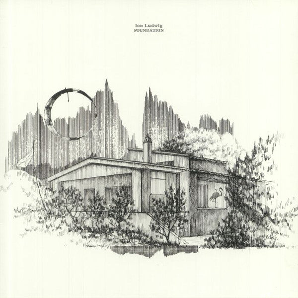 Ion Ludwig : Foundation (12", EP)