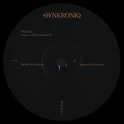 Vlad Caia : Source Of Movement EP (12", EP)