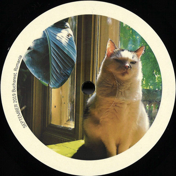 Dot* : Moon River EP (12", EP)