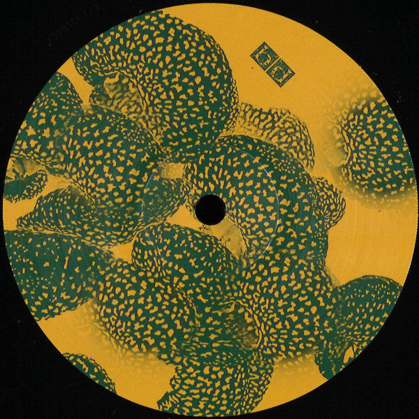Unknown Artist : PP003 (12", EP)
