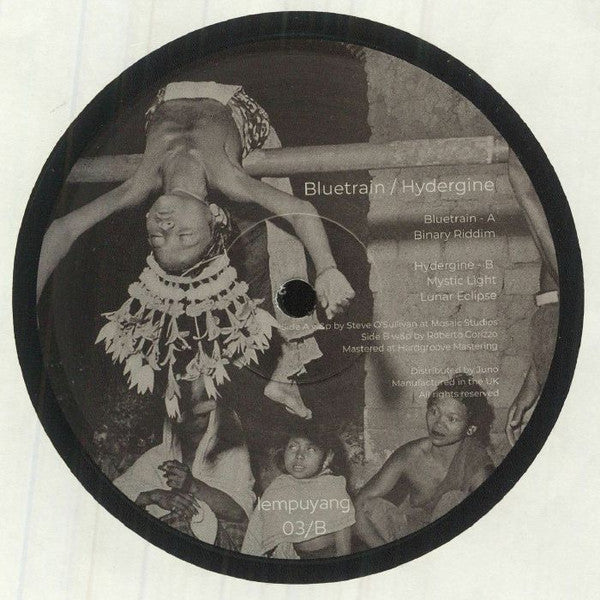 Bluetrain / Hydergine : Untitled (12")