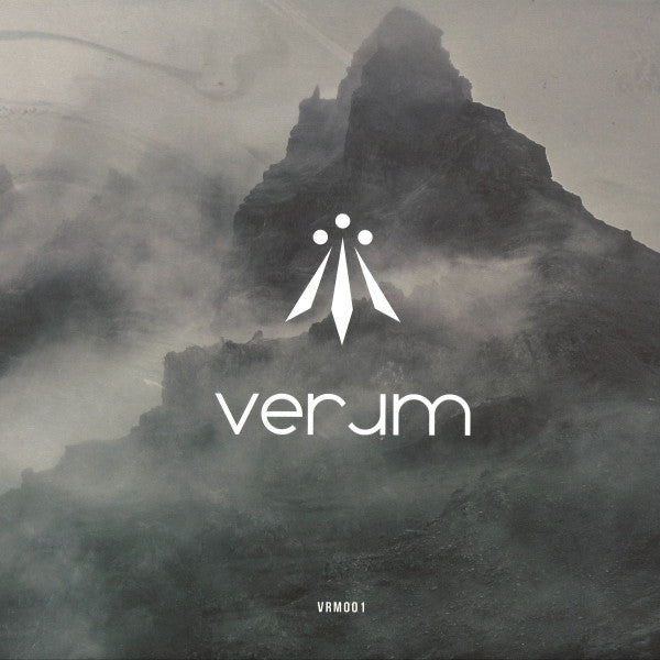 Various : VRM001 (12", EP)