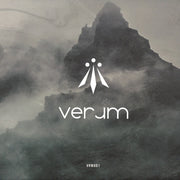 Various : VRM001 (12", EP)