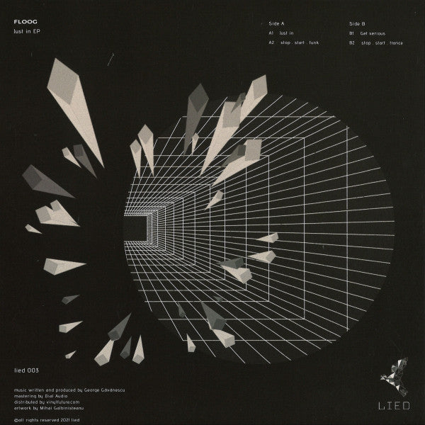 Floog : Just In Ep (12", EP)