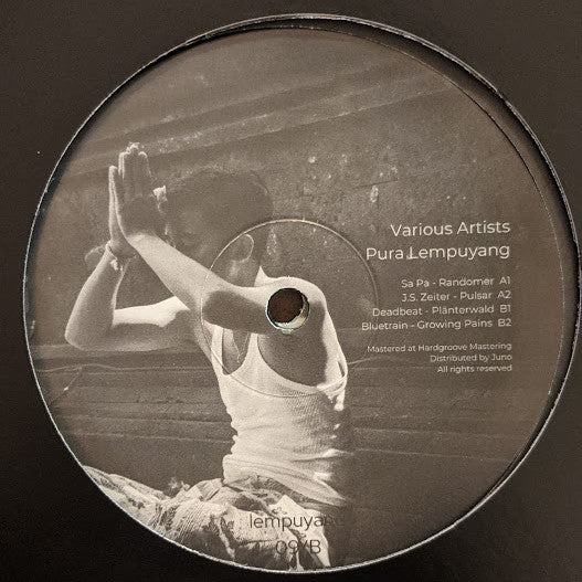 Various : Pura Lempuyang (2xLP, Tra)